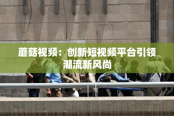 蘑菇视频：创新短视频平台引领潮流新风尚