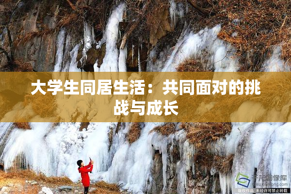 大学生同居生活：共同面对的挑战与成长