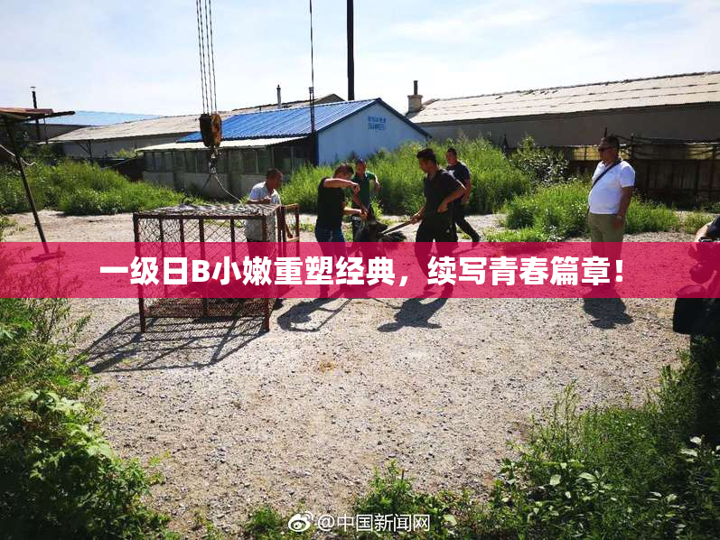 一级日B小嫩重塑经典，续写青春篇章！