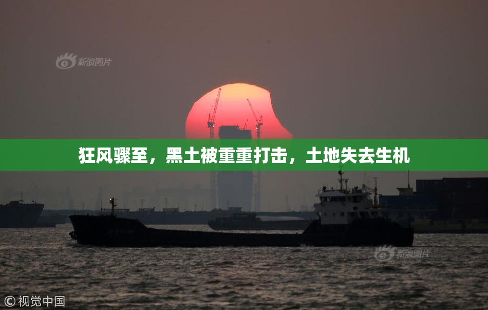 狂风骤至，黑土被重重打击，土地失去生机