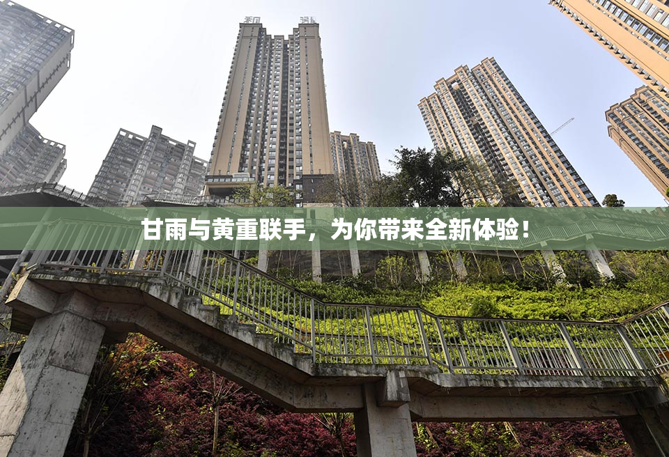 甘雨与黄重联手，为你带来全新体验！