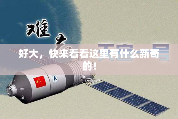 好大，快来看看这里有什么新奇的！