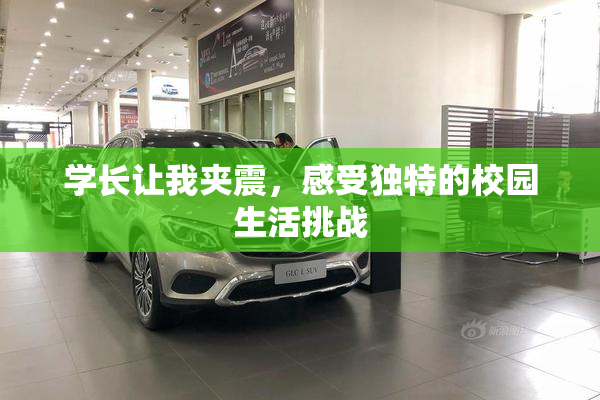 学长让我夹震，感受独特的校园生活挑战