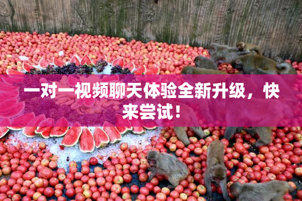 一对一视频聊天体验全新升级，快来尝试！