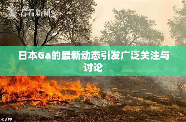 日本Ga的最新动态引发广泛关注与讨论