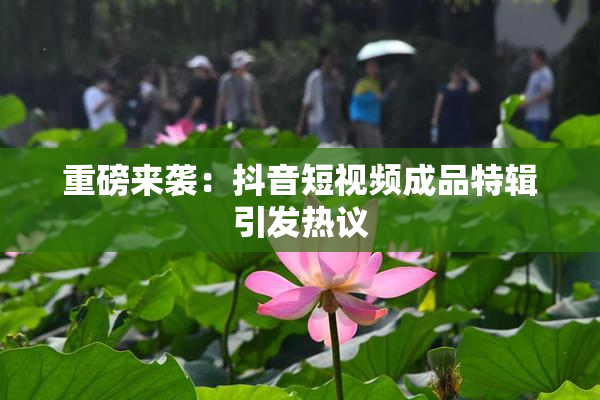 重磅来袭：抖音短视频成品特辑引发热议