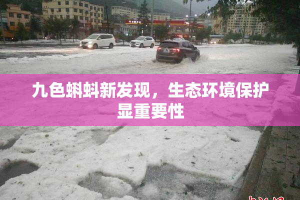 九色蝌蚪新发现，生态环境保护显重要性