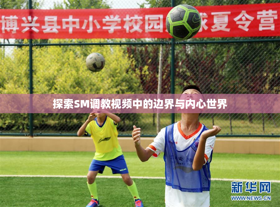 探索SM调教视频中的边界与内心世界