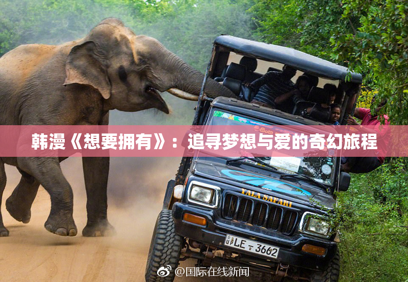 韩漫《想要拥有》：追寻梦想与爱的奇幻旅程
