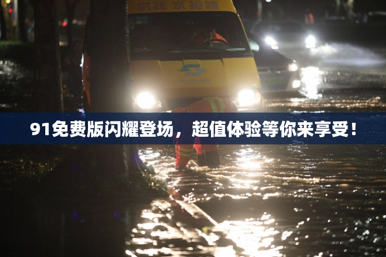 91免费版闪耀登场，超值体验等你来享受！