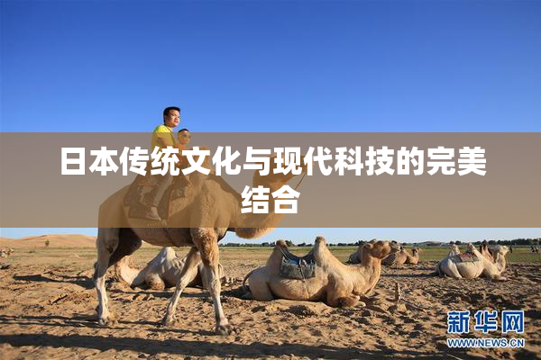日本传统文化与现代科技的完美结合
