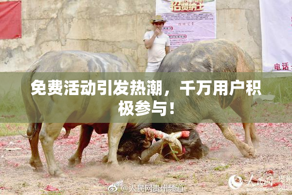 免费活动引发热潮，千万用户积极参与！