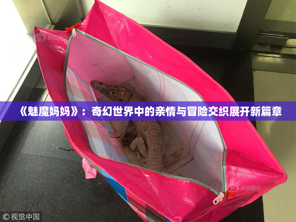 《魅魔妈妈》：奇幻世界中的亲情与冒险交织展开新篇章