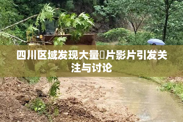 四川区域发现大量婬片影片引发关注与讨论