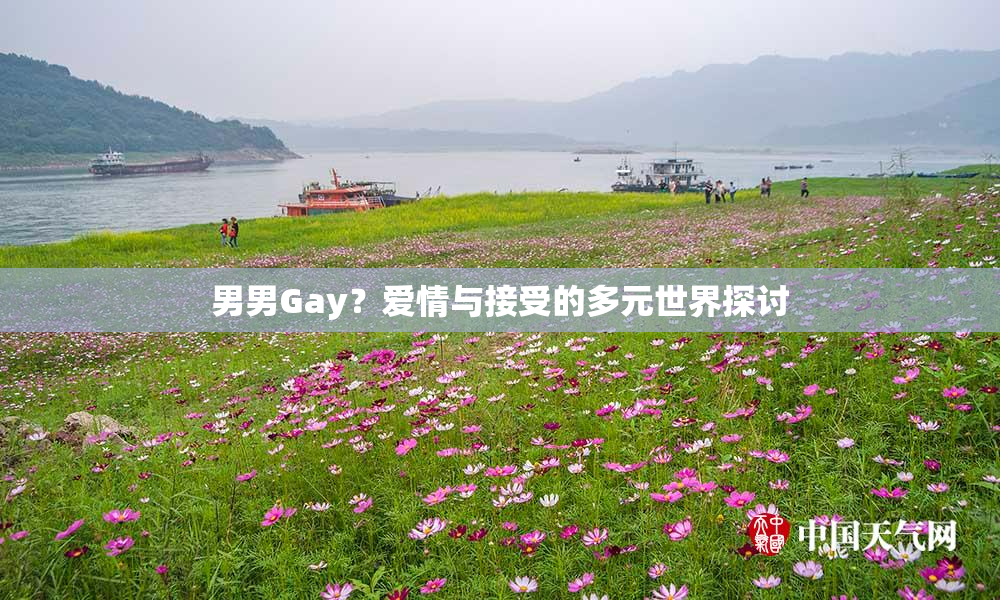 男男Gay？爱情与接受的多元世界探讨