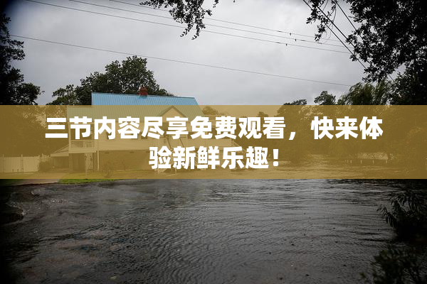 三节内容尽享免费观看，快来体验新鲜乐趣！