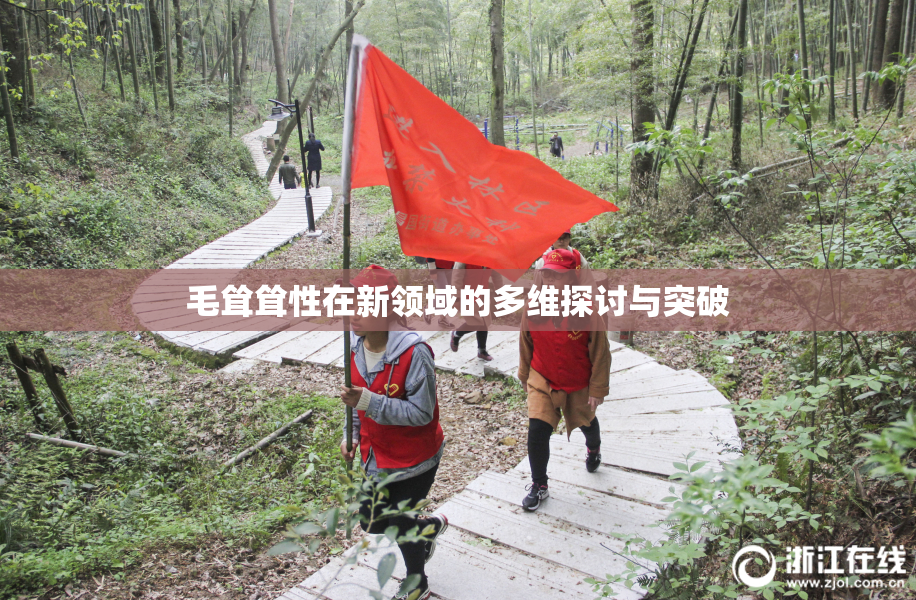 毛耸耸性在新领域的多维探讨与突破