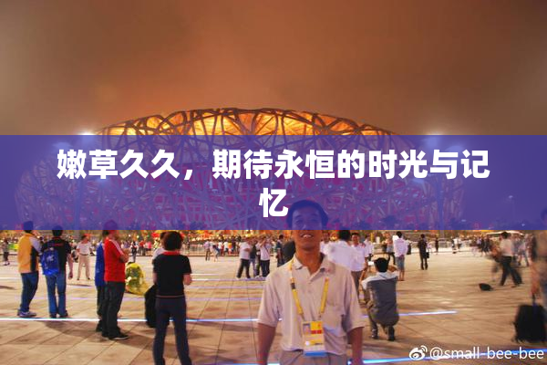 嫩草久久，期待永恒的时光与记忆