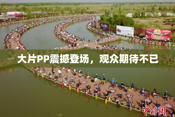 大片PP震撼登场，观众期待不已