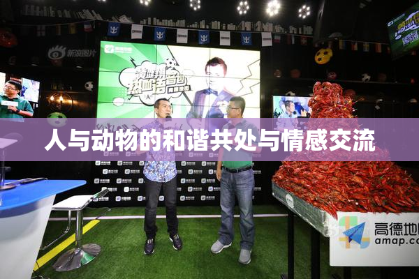 人与动物的和谐共处与情感交流