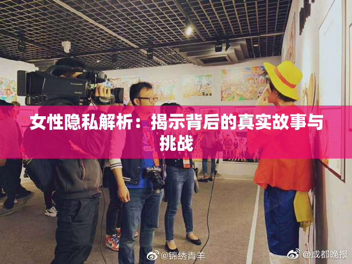 女性隐私解析：揭示背后的真实故事与挑战