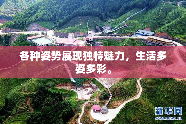 各种姿势展现独特魅力，生活多姿多彩。