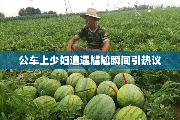 公车上少妇遭遇尴尬瞬间引热议