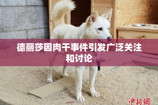 德丽莎因肉干事件引发广泛关注和讨论