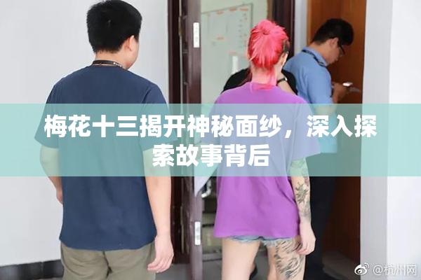 梅花十三揭开神秘面纱，深入探索故事背后