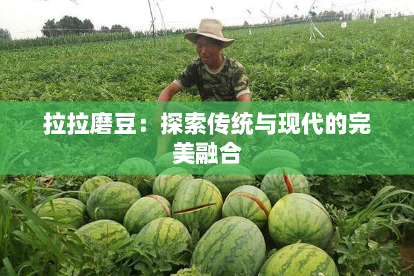拉拉磨豆：探索传统与现代的完美融合