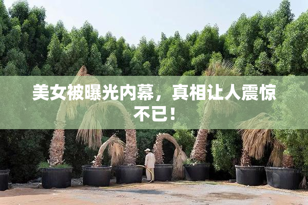 美女被曝光内幕，真相让人震惊不已！