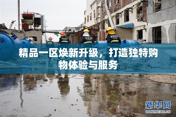 精品一区焕新升级，打造独特购物体验与服务