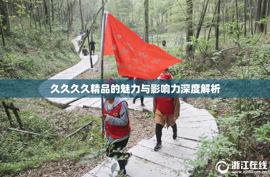 久久久久精品的魅力与影响力深度解析