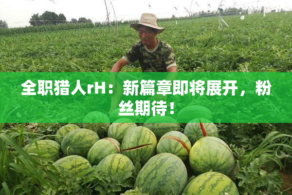 全职猎人rH：新篇章即将展开，粉丝期待！