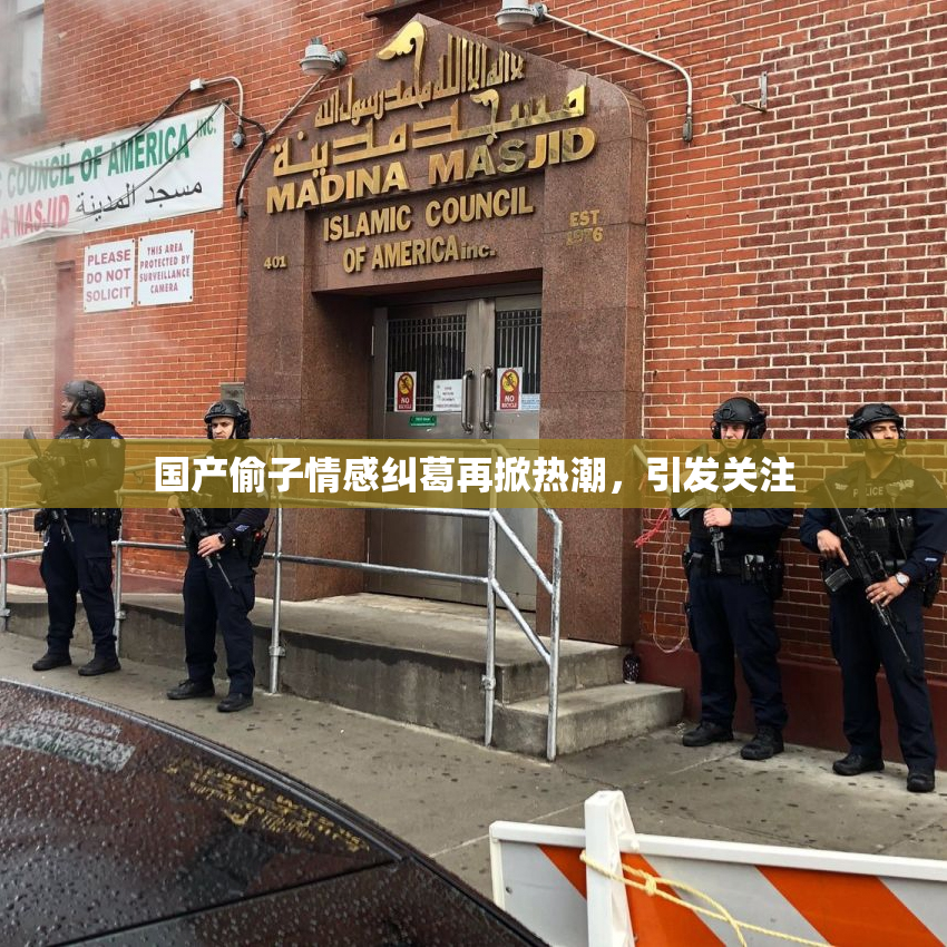 国产偷子情感纠葛再掀热潮，引发关注