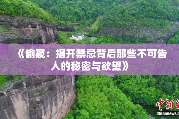 《偷窥：揭开禁忌背后那些不可告人的秘密与欲望》