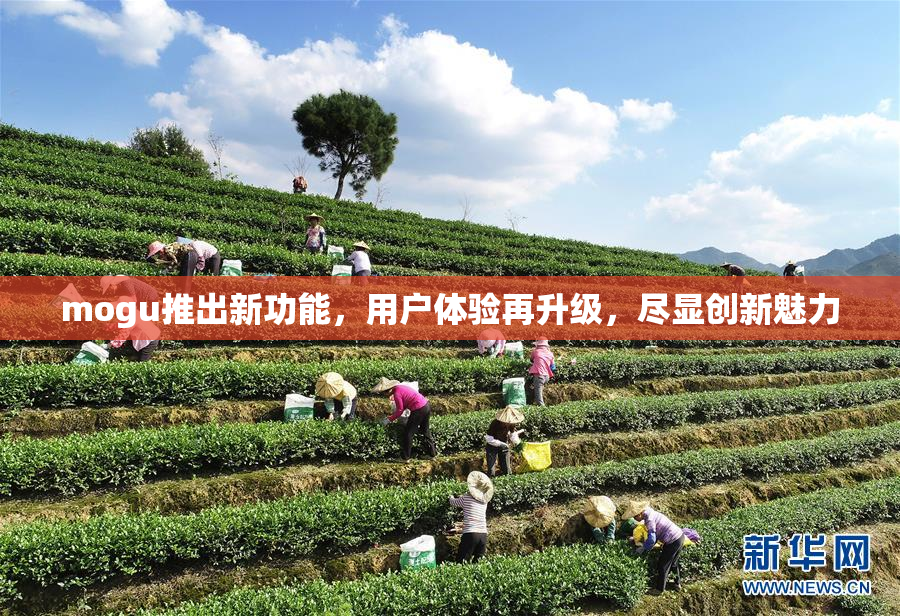 mogu推出新功能，用户体验再升级，尽显创新魅力