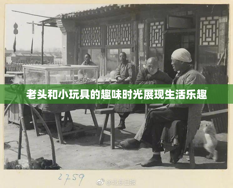 老头和小玩具的趣味时光展现生活乐趣