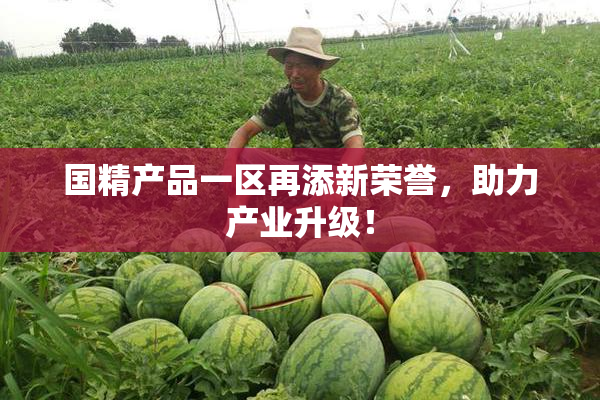 国精产品一区再添新荣誉，助力产业升级！