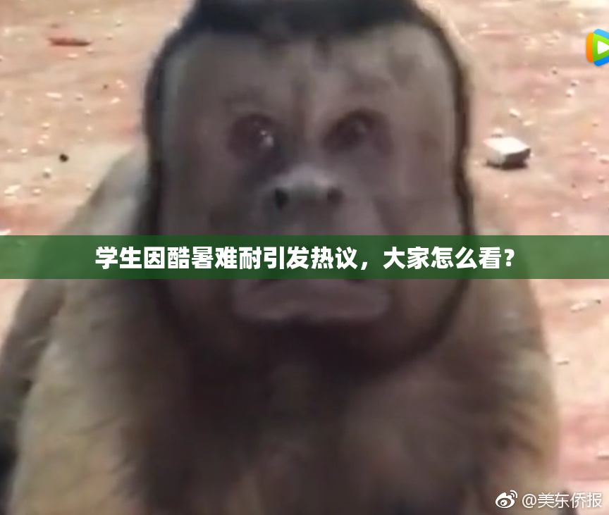 学生因酷暑难耐引发热议，大家怎么看？