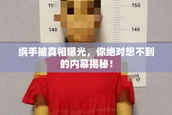 纲手被真相曝光，你绝对想不到的内幕揭秘！
