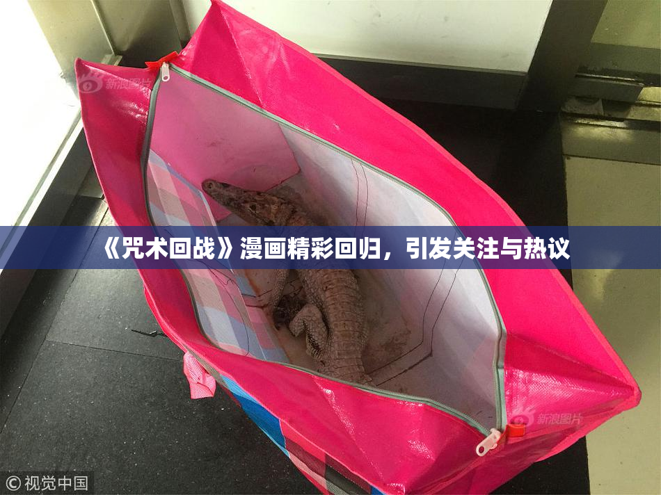 《咒术回战》漫画精彩回归，引发关注与热议