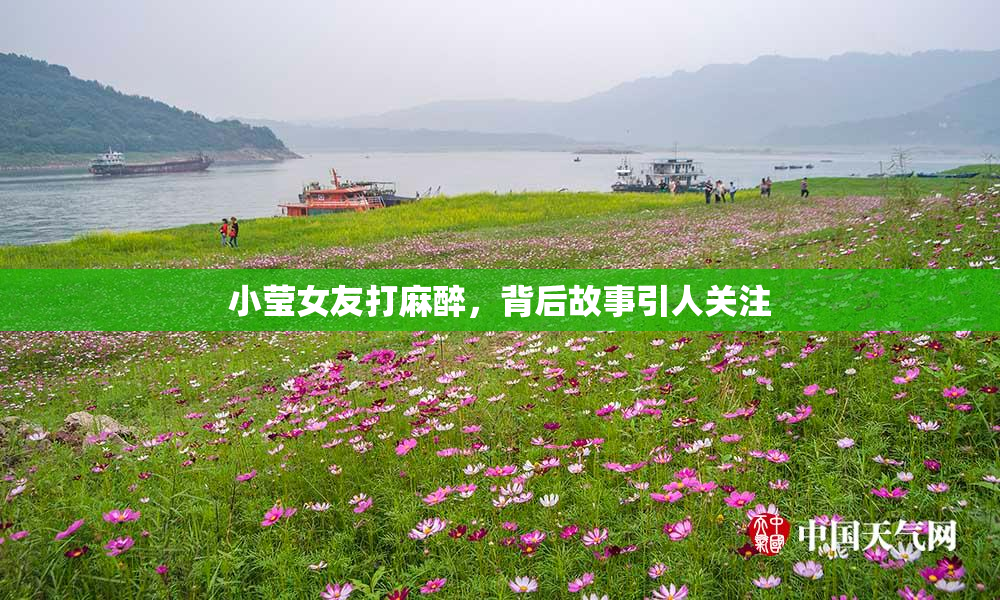 小莹女友打麻醉，背后故事引人关注