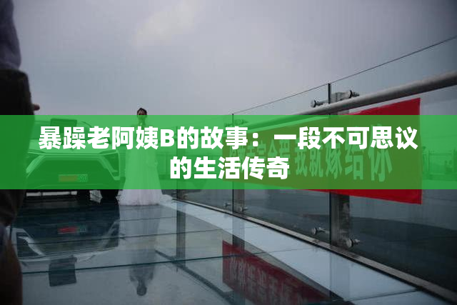 暴躁老阿姨B的故事：一段不可思议的生活传奇