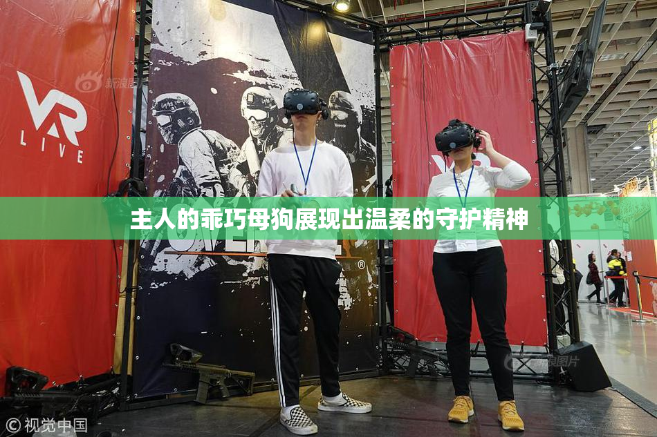 主人的乖巧母狗展现出温柔的守护精神