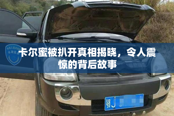 卡尔蜜被扒开真相揭晓，令人震惊的背后故事