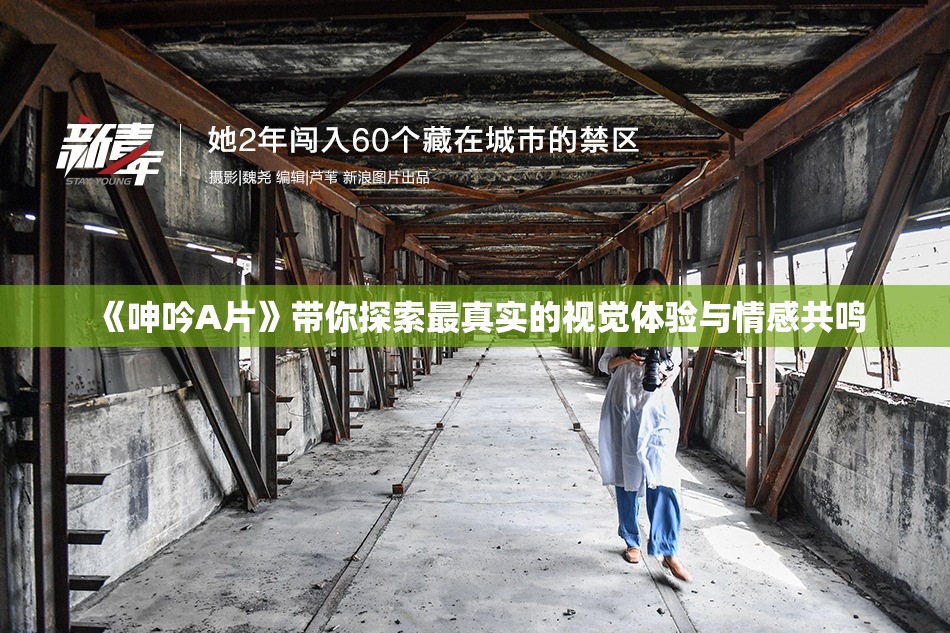 《呻吟A片》带你探索最真实的视觉体验与情感共鸣