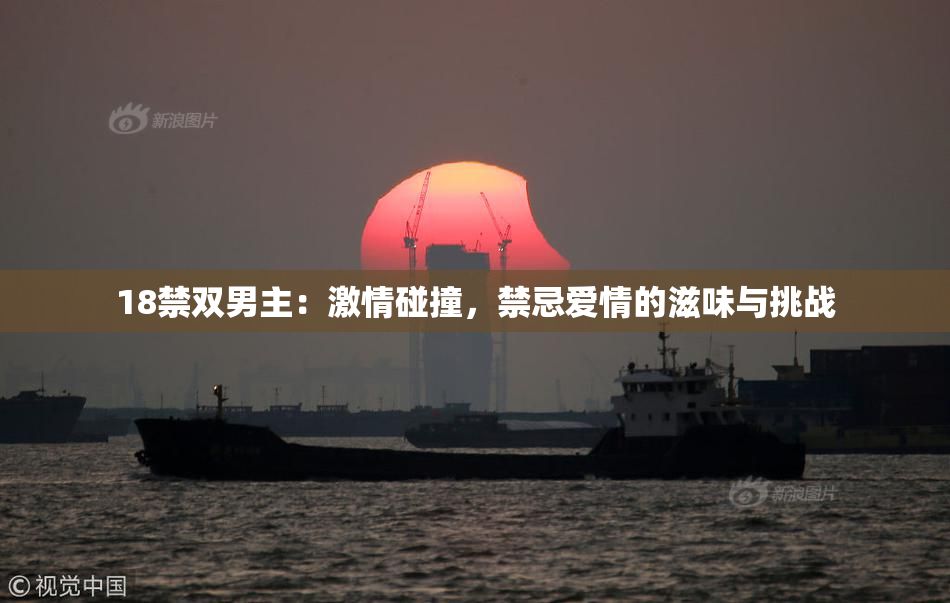 18禁双男主：激情碰撞，禁忌爱情的滋味与挑战