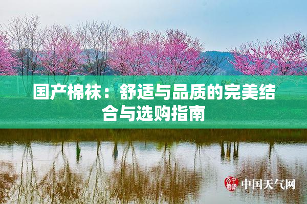 国产棉袜：舒适与品质的完美结合与选购指南