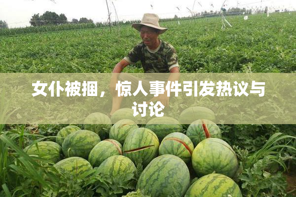 女仆被捆，惊人事件引发热议与讨论